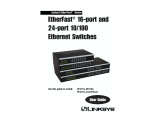 Linksys EF3116 User manual