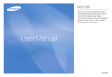 Samsung LANDIAO M310W User manual