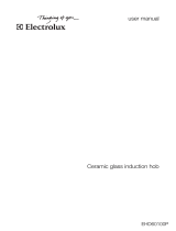 Electrolux EHD60100P CB3 User manual