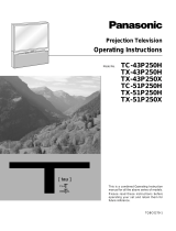 Panasonic TX43P250X User manual