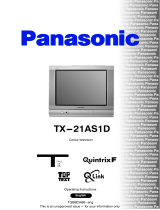 Panasonic TX21AS1D Operating instructions
