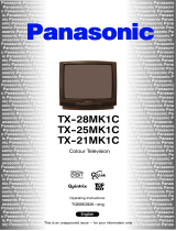 Panasonic TX25MK1C Operating instructions