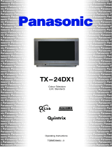 Panasonic TX24DX1 Operating instructions
