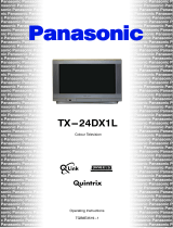 Panasonic TX24DX1L Operating instructions