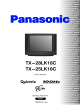 Panasonic QuintrixF TX-29AS1F Operating instructions