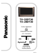 Panasonic TX28DT30 Operating instructions