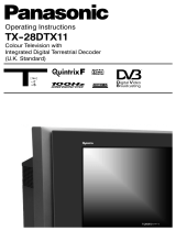 Panasonic TX28DTX11 Operating instructions