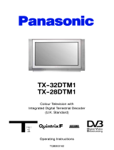 Panasonic TX32DTM1 Operating instructions