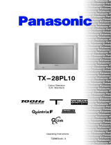 Panasonic TX28PL10 Operating instructions