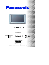 Panasonic TX32PM1F Operating instructions