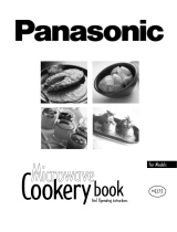 Panasonic NNE273SBBPQ Owner's manual