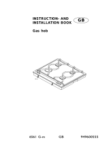 AEG 6561GM User manual
