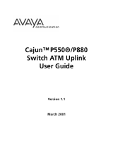 Avaya Switch P550 User manual