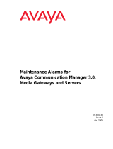 Avaya Home Security System 03-300430 User manual