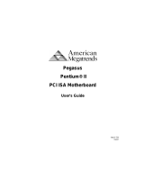 American Megatrends Pegasus User manual