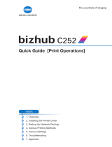 Konica Minolta BIZHUB C252 User manual