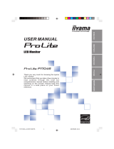iiyama P1704S User manual