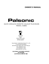 Palsonic CRT Television 6160G User manual