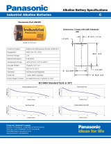 Panasonic Power Supply AM-2PI User manual
