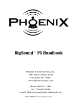 PMI - Phoenix P5 User manual