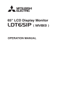 Mitsubishi Electronics Flat Panel Television LDT651P User manual