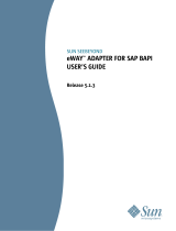 Sun Microsystems Network Card SAP BAPI User manual