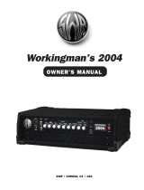 SWR Sound Stereo Amplifier 2004 User manual