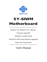 SOYO Computer Hardware SY-6IWM User manual