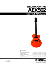 Yamaha Guitar AEX502 User manual