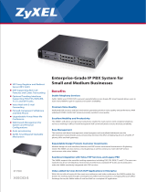 ZyXEL CommunicationsNetwork Hardware X6004