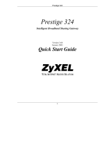 ZyXEL P-324 User manual