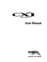Wybron N/A User manual