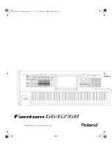 Roland Fantom-G6 Owner's manual