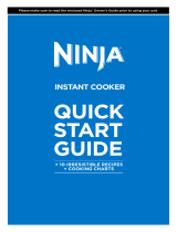 Ninja PC101 Inspiration Guide