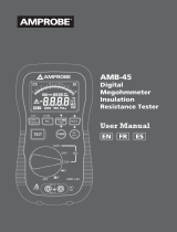 Amprobe AMB-45 Digital Megohmmeter User manual