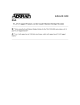ADTRAN VLAN Tagged Frames on the Quad Ethernet Bridge Module Owner's manual