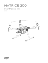 dji Pilot User manual