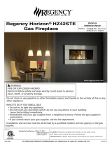 Regency Horizon HZ42STE Owner's manual