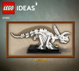 Lego 21320 Ideas Building Instructions