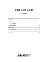 Biostar A10N-8800E User manual