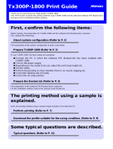 MIMAKI Tx300P-1800 User guide