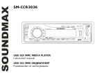 SoundMax SM-CCR3036 Owner's manual