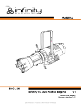 Infinity TS-300 Profile Engine User manual