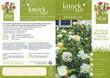 Knock Out Rose 71393 User guide