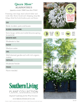 Southern Living Plant Collection 00932 Specification