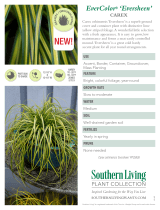 Southern Living Plant Collection 0730Q User guide