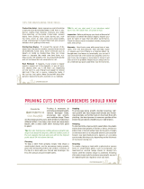 CORONA RS7395 Operating instructions