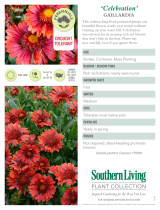 Southern Living Plant Collection 2084Q User manual