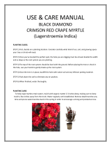 Black Diamond CRMBCR03G User guide