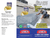 Ames PS250 Specification